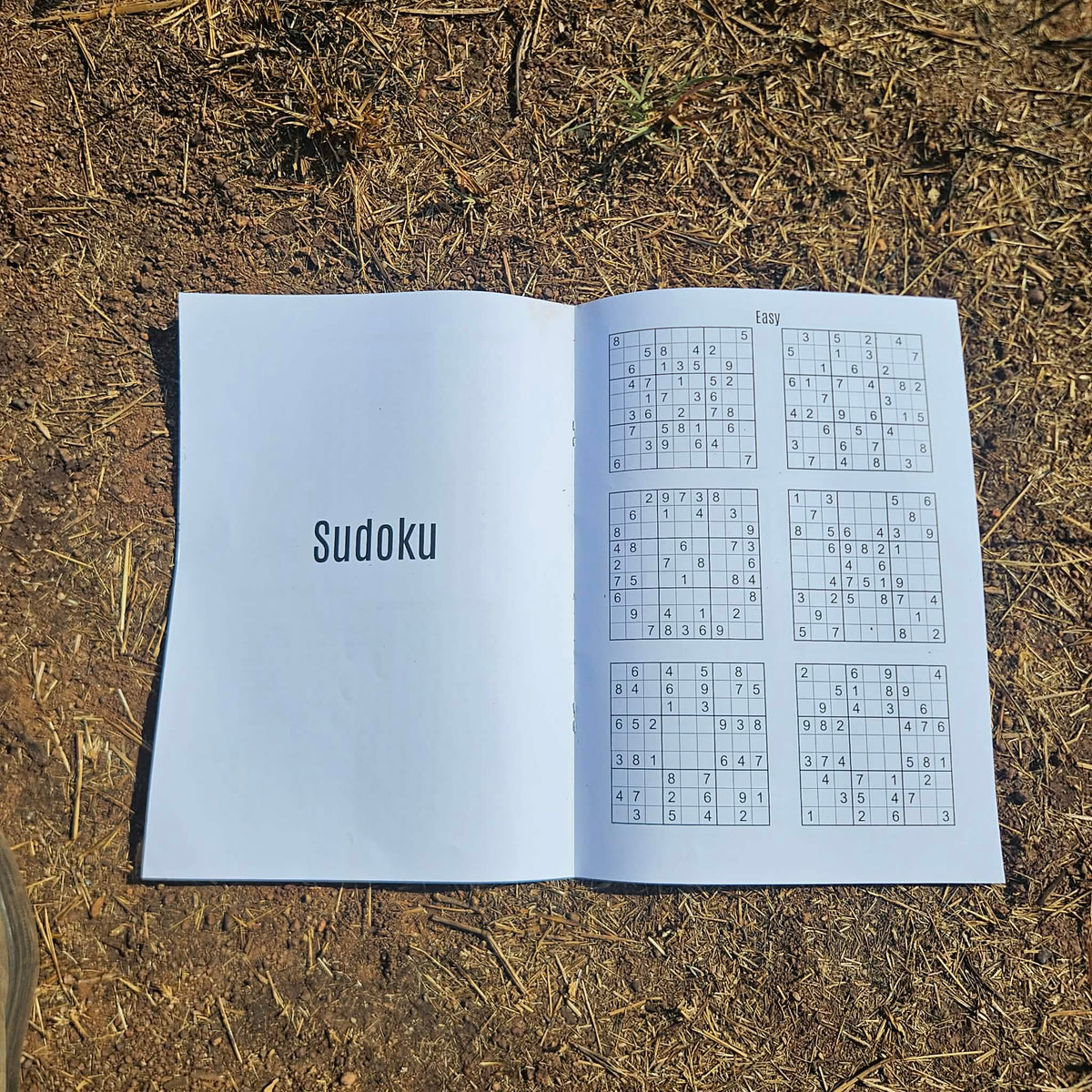 The Ultimate Travel Activity Book