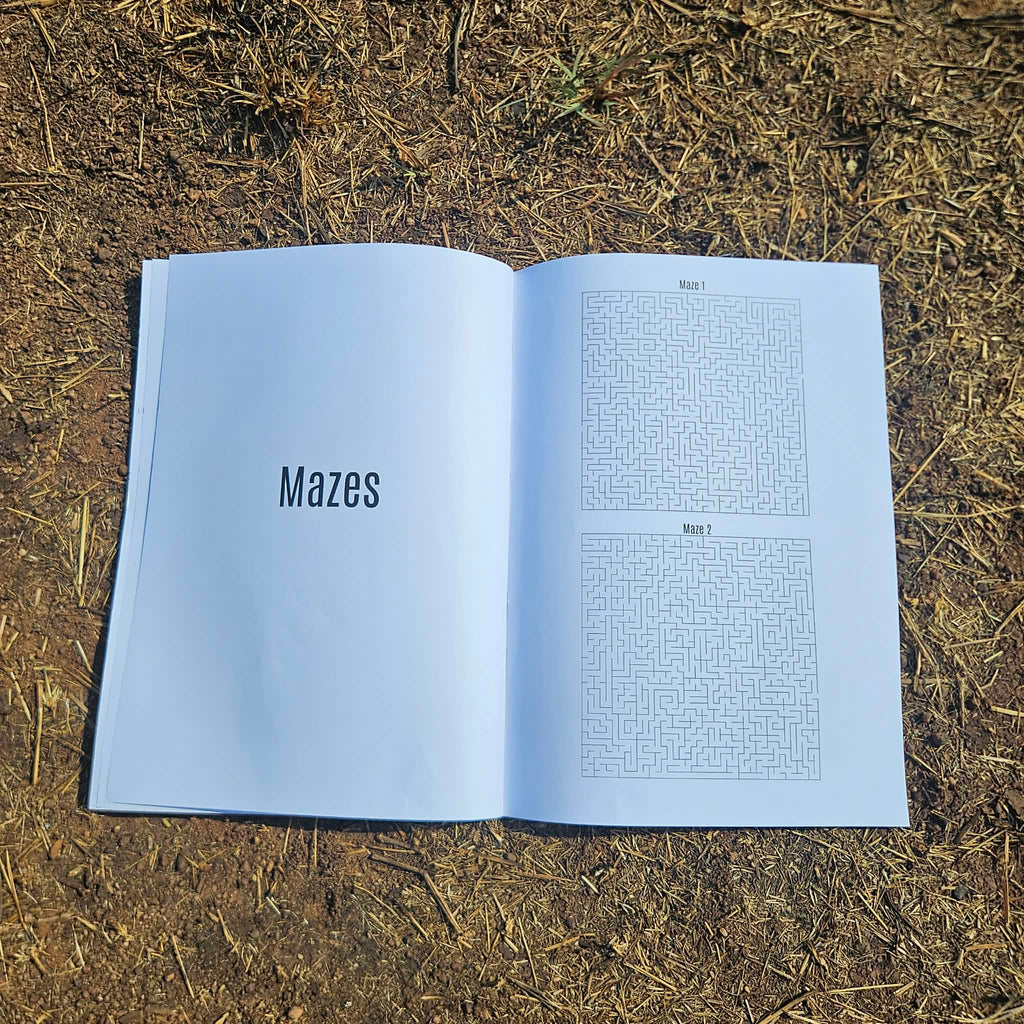 The Ultimate Travel Activity Book